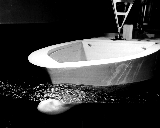 boat_pull.small_.gif